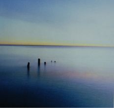 Evolution 042